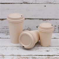 sugarcane cup from mmcis china